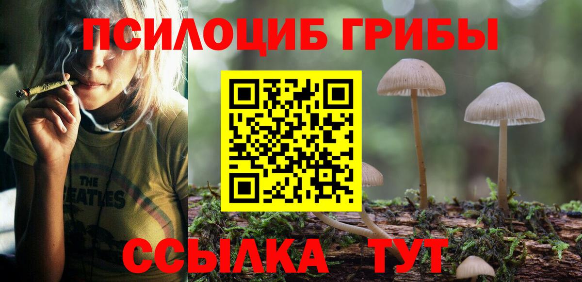 Псилоцибиновые грибы Magic Shrooms Россия