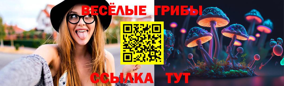 Россия  Галлюциногенные грибы мицелий  Вход с VPN 