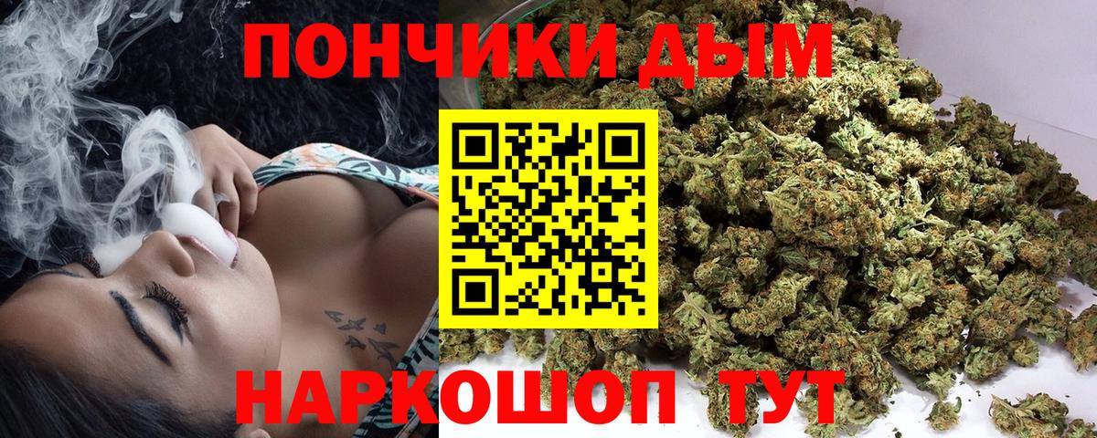 Конопля ГИДРОПОН Россия